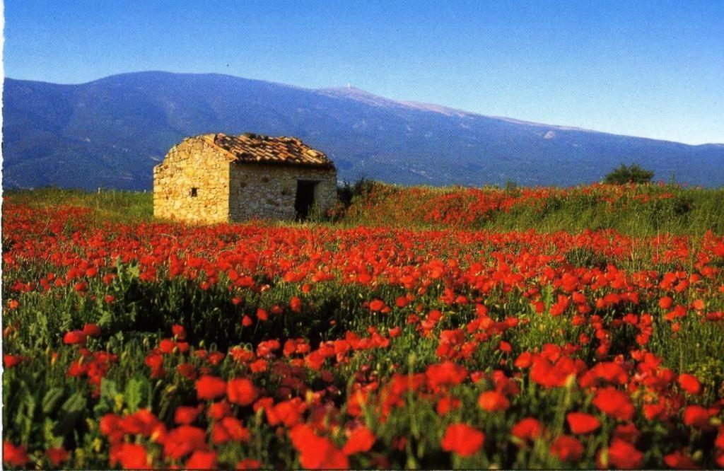 La Petite Maison Céreste Buitenkant foto